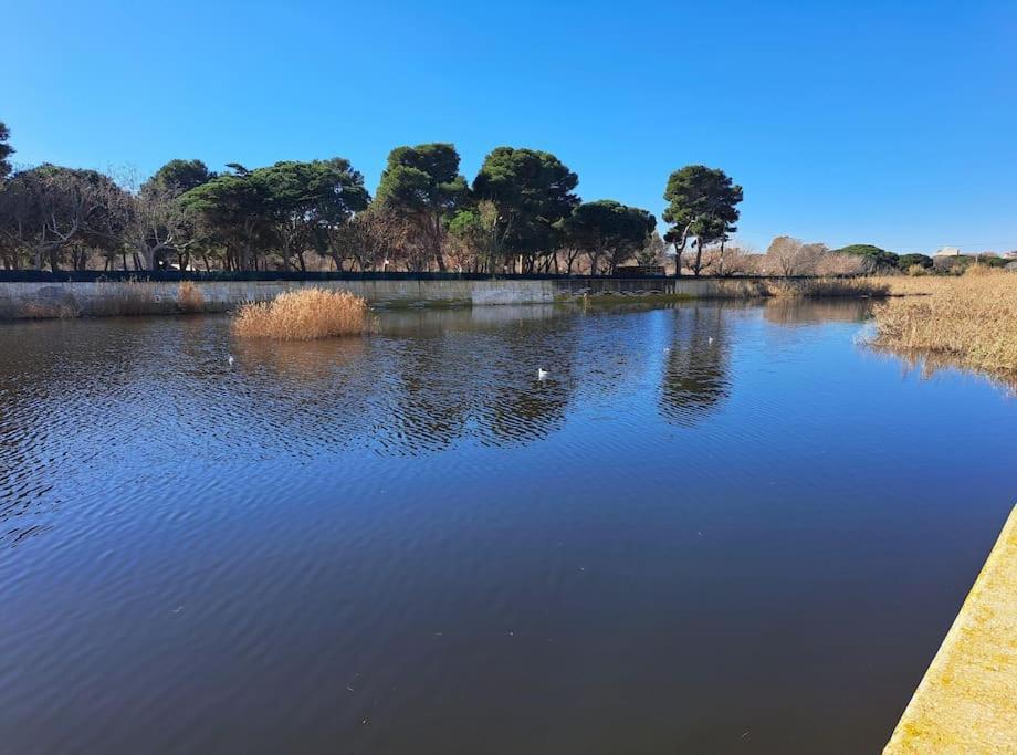 Apartamento A 50 Metros De La Playa. 플라티야 다로 외부 사진